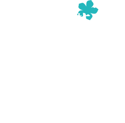 Anohana: The Flower We Saw That Day's logo
