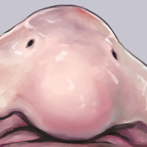 Nujima's Works's cover