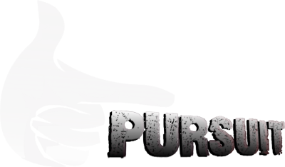 -PURSUIT-'s cover