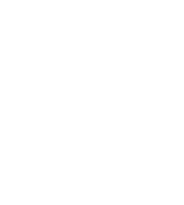 Dragon Novels's cover