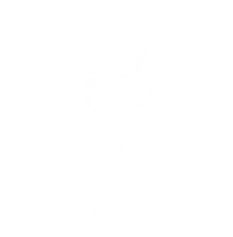 Pearl Jam's image