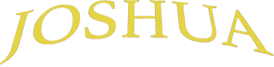 Joshua and the Promised Land's logo