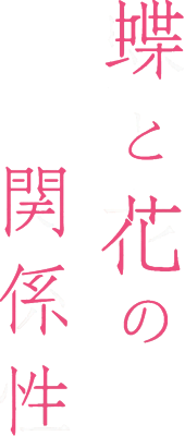 Chou to Hana no Kankeisei's cover