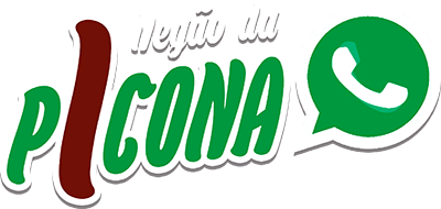 Negão da Picona's cover