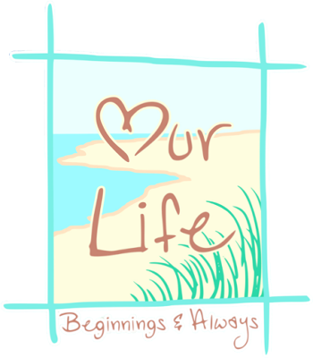Our Life: Beginnings & Always's cover