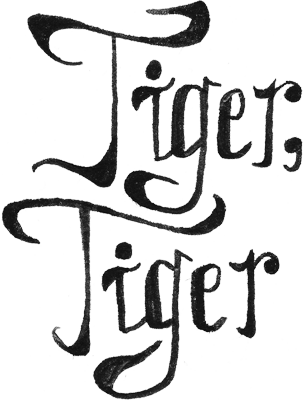 Tiger, Tiger's logo