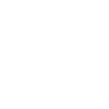 Sinsekai Studio's logo