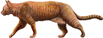 IRL Cats's image