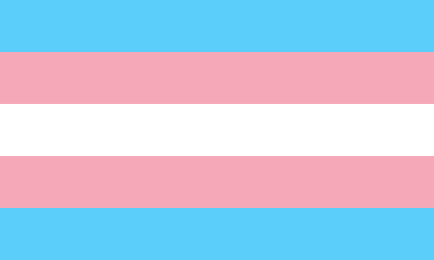 Transgender Themes's cover