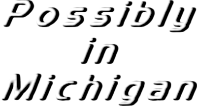 Possibly In Michigan's cover