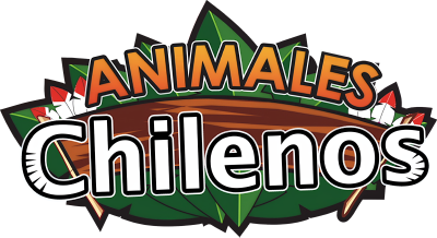 Animales Chilenos's cover