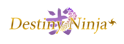 Destiny Ninja 2's cover