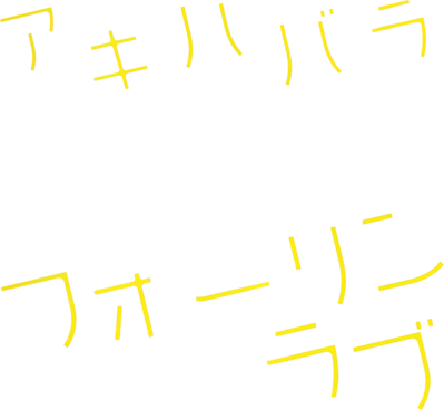 Akihabara Fall In Love's cover