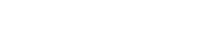 The First Descendant's logo