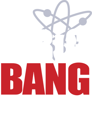 The Big Bang Theory Series's cover