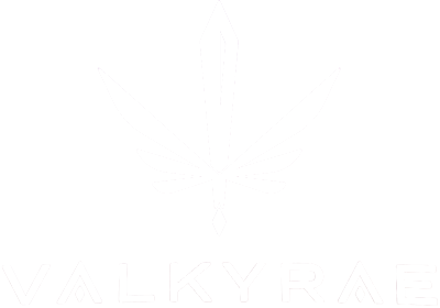 Valkyrae's image