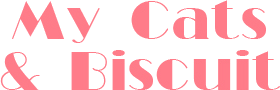 My Cats & Biscuit's cover