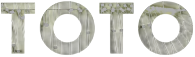 Toto's image