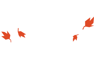 Night in the Woods's cover