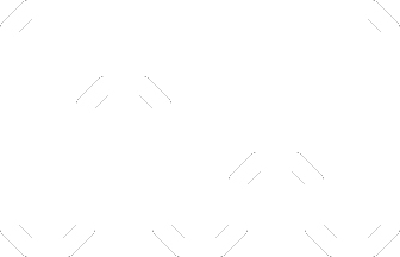 Metanet Software's cover