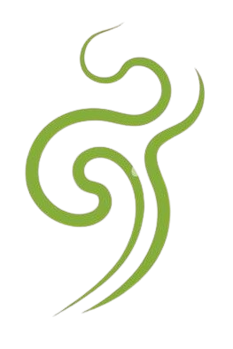 Visible Stink's image