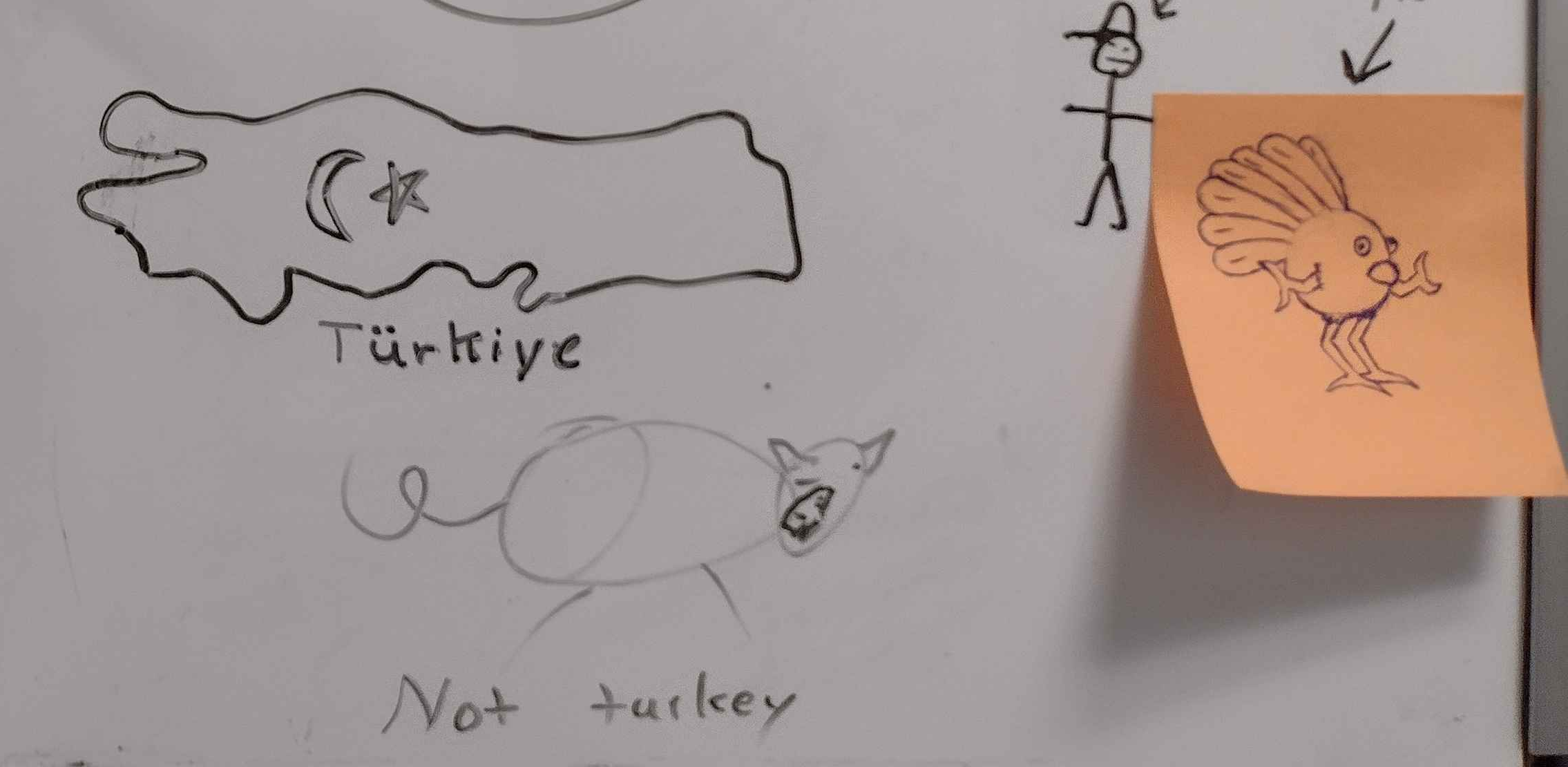A whiteboard covered in various drawings of turkeys.