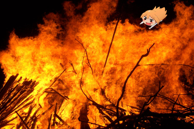 cute thing sliding to its firey demise