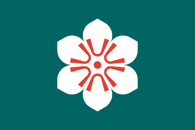 Saga's image