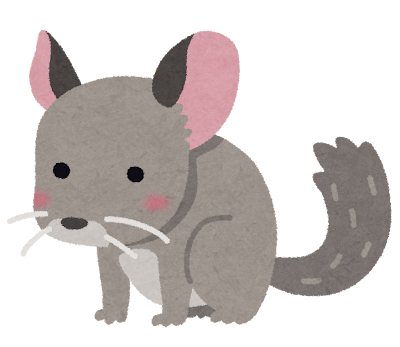 Chinchilla's image
