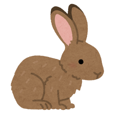 Rabbit's image