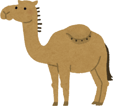 Camel's image