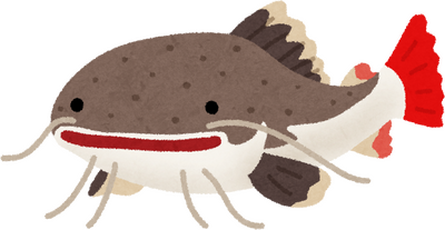 Catfish's image