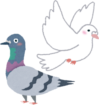 Pigeon's image