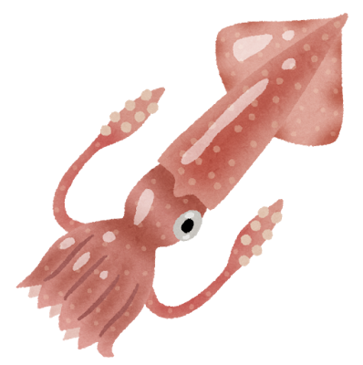 Squid's image