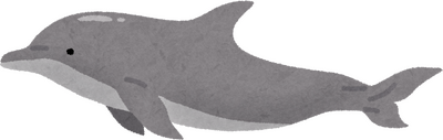 Dolphin's image