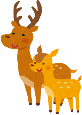 Deer's image