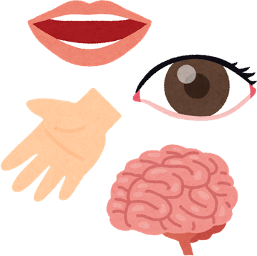 Body Part's image