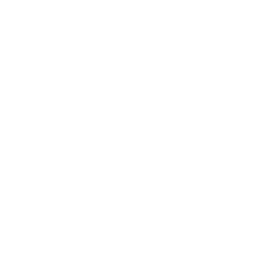 The Destruction's image