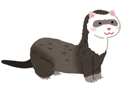 Ferret's image