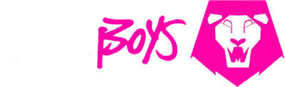 SAjA Boys's image