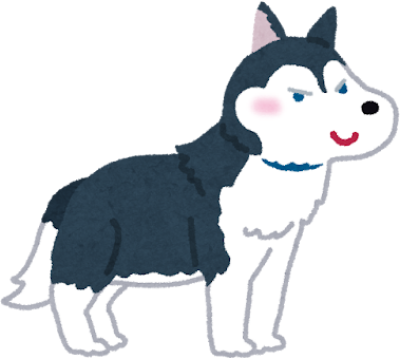 Husky's image