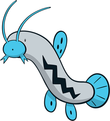 Barboach Line's image