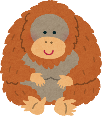 Orangutan's image