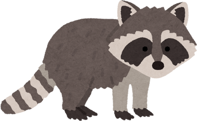 Raccoon's image