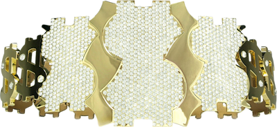 WWE Million Dollar Champion's image
