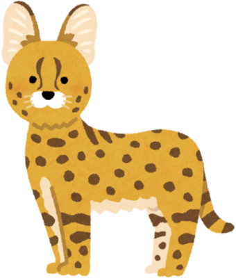 Serval's image