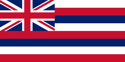 Hawaiian's image