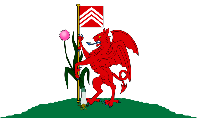 Cardiff's image