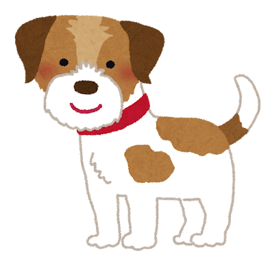 Jack Russell Terrier's image