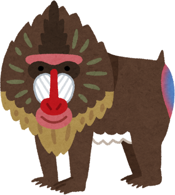 Mandrill's image